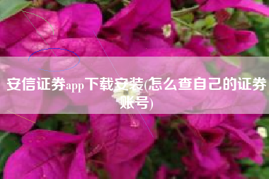 安信证券app下载安装(怎么查自己的证券账号)