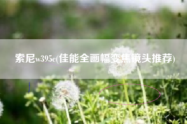 索尼w395c(佳能全画幅变焦镜头推荐)