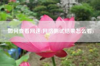 如何查看网速(网络测试结果怎么看)