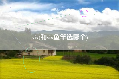 vix(和vix鱼竿选哪个)