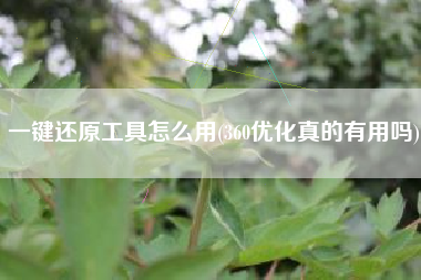 一键还原工具怎么用(360优化真的有用吗)