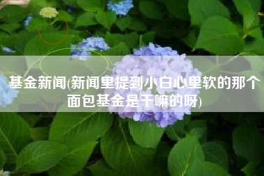 基金新闻(新闻里提到小白心里软的那个面包基金是干嘛的呀)