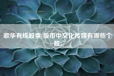 歌华有线股票(股市中文化传媒有哪些个股)