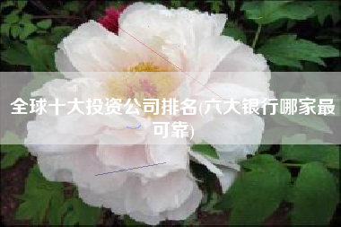 全球十大投资公司排名(六大银行哪家最可靠)
