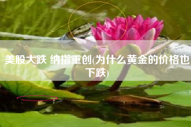 美股大跌 纳指重创(为什么黄金的价格也下跌)