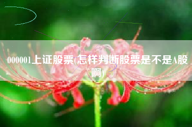 000001上证股票(怎样判断股票是不是A股啊)