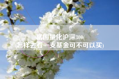 富国量化沪深300(
怎样去看一支基金可不可以买) 富国量化沪深300(
怎样去看一支基金可不可以买)