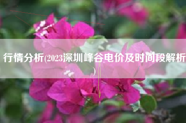 行情分析(2023深圳峰谷电价及时间段解析)
