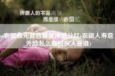 农银领先混合基金净值分红(农银人寿意外险怎么查投保人是谁)