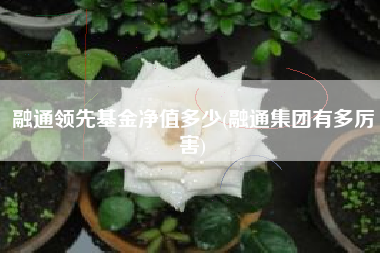 融通领先基金净值多少(融通集团有多厉害)