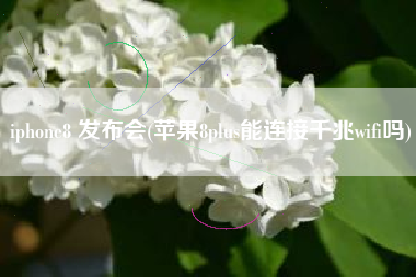 iphone8 发布会(苹果8plus能连接千兆wifi吗)