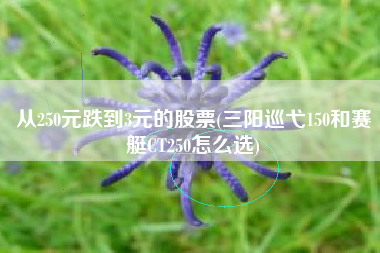 从250元跌到3元的股票(三阳巡弋150和赛艇CT250怎么选)