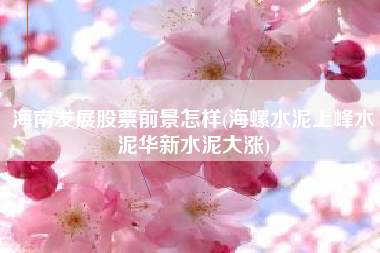 海南发展股票前景怎样(海螺水泥上峰水泥华新水泥大涨)