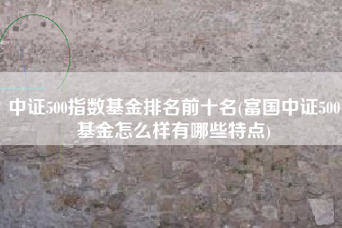 中证500指数基金排名前十名(富国中证500基金怎么样有哪些特点)
