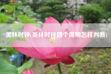 美林时钟(美林时钟四个周期怎样判断)