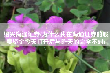 绍兴海通证券(为什么我在海通证券的股票资金今天打开后与昨天的完全不对)