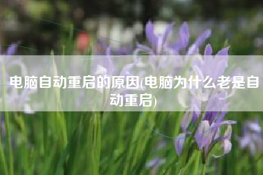 电脑自动重启的原因(电脑为什么老是自动重启)