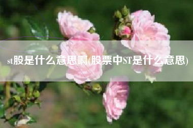 st股是什么意思啊(股票中ST是什么意思)