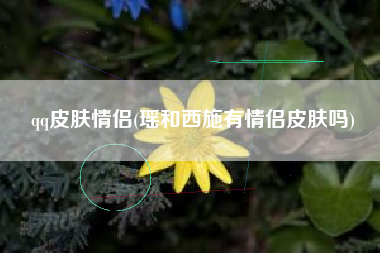qq皮肤情侣(瑶和西施有情侣皮肤吗)