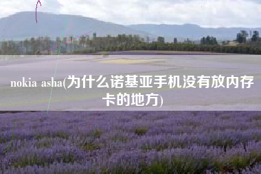 nokia asha(为什么诺基亚手机没有放内存卡的地方)