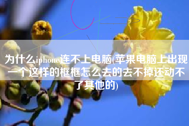 为什么iphone连不上电脑(苹果电脑上出现一个这样的框框怎么去的去不掉还动不了其他的)