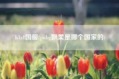 h1z1国服(pubg飘柔是哪个国家的)