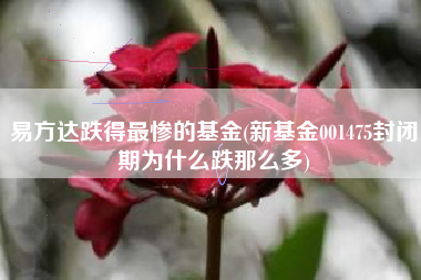 易方达跌得最惨的基金(新基金001475封闭期为什么跌那么多)