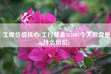 工银价值核心(工行基金481001今天收盘是什么价位)