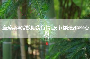 道琼斯30指数期货行情(股市都涨到3200点了)