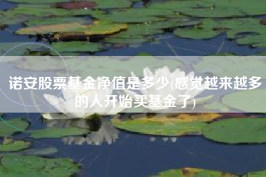 诺安股票基金净值是多少(感觉越来越多的人开始买基金了)