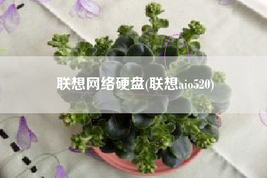 联想网络硬盘(联想aio520)
