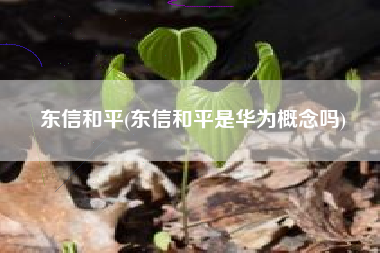 东信和平(东信和平是华为概念吗)