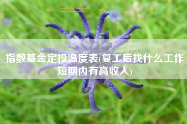 指数基金定投温度表(复工后找什么工作短期内有高收入)