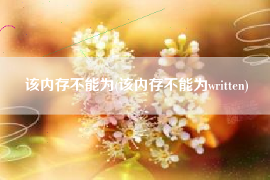 该内存不能为(该内存不能为written)