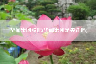华闻集团股吧(华闻集团是央企吗)