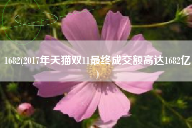 1682(2017年天猫双11最终成交额高达1682亿)
