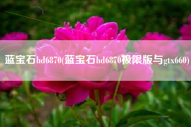 蓝宝石hd6870(蓝宝石hd6870极限版与gtx660)