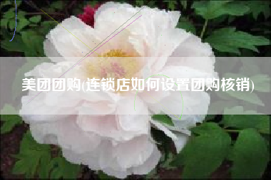 美团团购(连锁店如何设置团购核销)