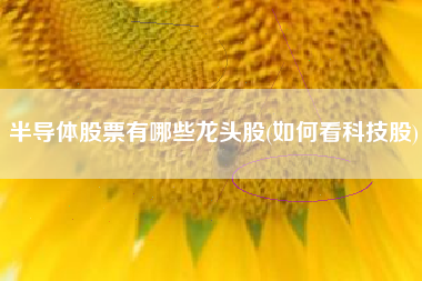 半导体股票有哪些龙头股(如何看科技股)