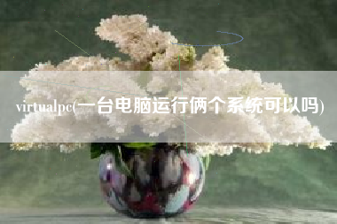 virtualpc(一台电脑运行俩个系统可以吗)