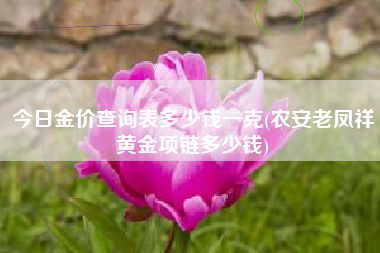今日金价查询表多少钱一克(农安老凤祥黄金项链多少钱)
