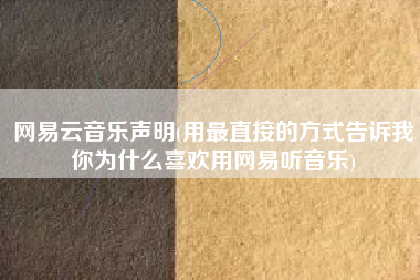 网易云音乐声明(用最直接的方式告诉我你为什么喜欢用网易听音乐)