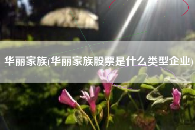 华丽家族(华丽家族股票是什么类型企业)