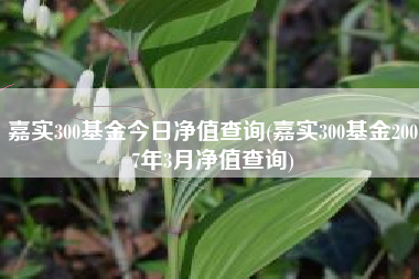 嘉实300基金今日净值查询(嘉实300基金2007年3月净值查询)