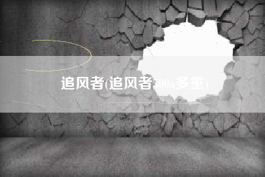 追风者(追风者500a多重)