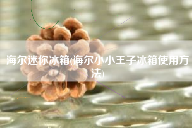 海尔迷你冰箱(海尔小小王子冰箱使用方法)