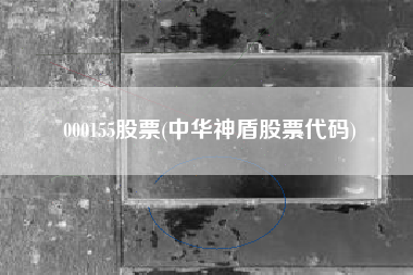 000155股票(中华神盾股票代码)