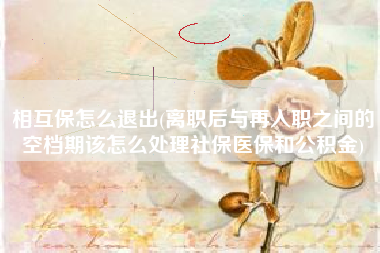 相互保怎么退出(离职后与再入职之间的空档期该怎么处理社保医保和公积金)