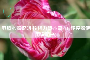 电热水器说明书(格力热水器xk15线控器使用说明书)
