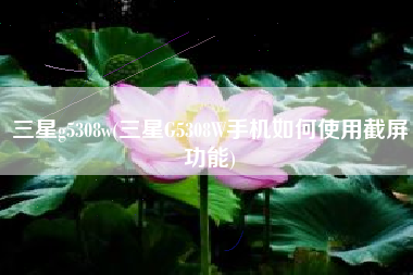 三星g5308w(三星G5308W手机如何使用截屏功能)